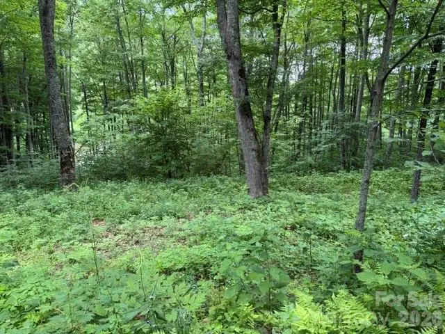 Lot 36 Odalu Trail #36, Maggie Valley, NC 28751 - #2