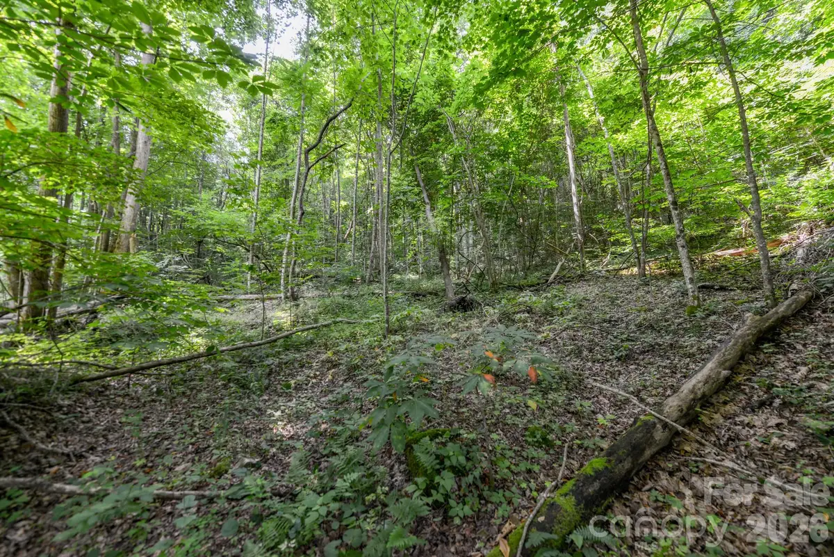 ### Board Tree Road #1, Marshall, NC 28753 - #1