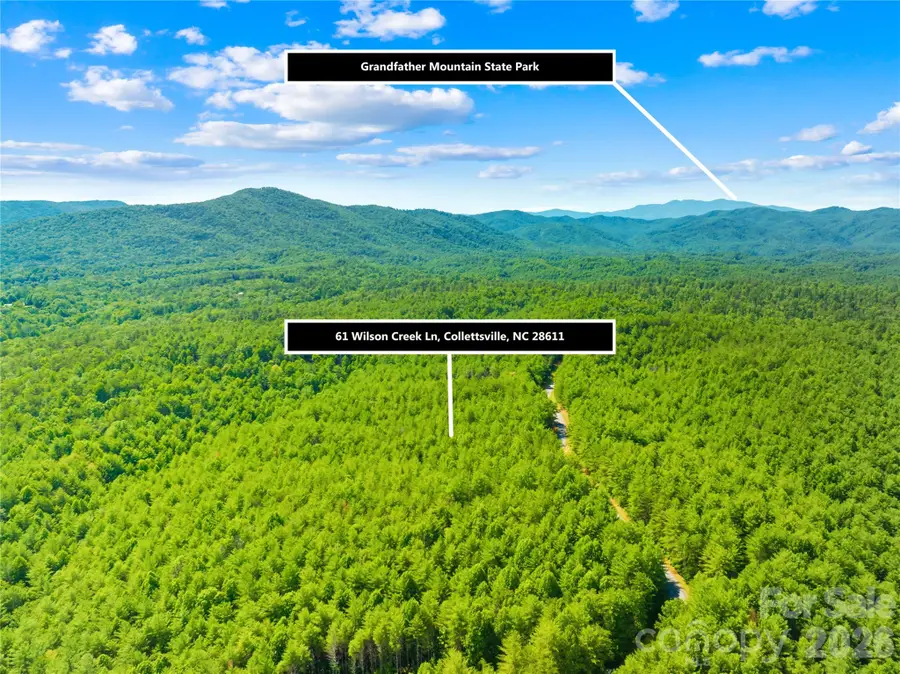 6104 Collette Ridge Circle, Collettsville, NC 28611 - #2