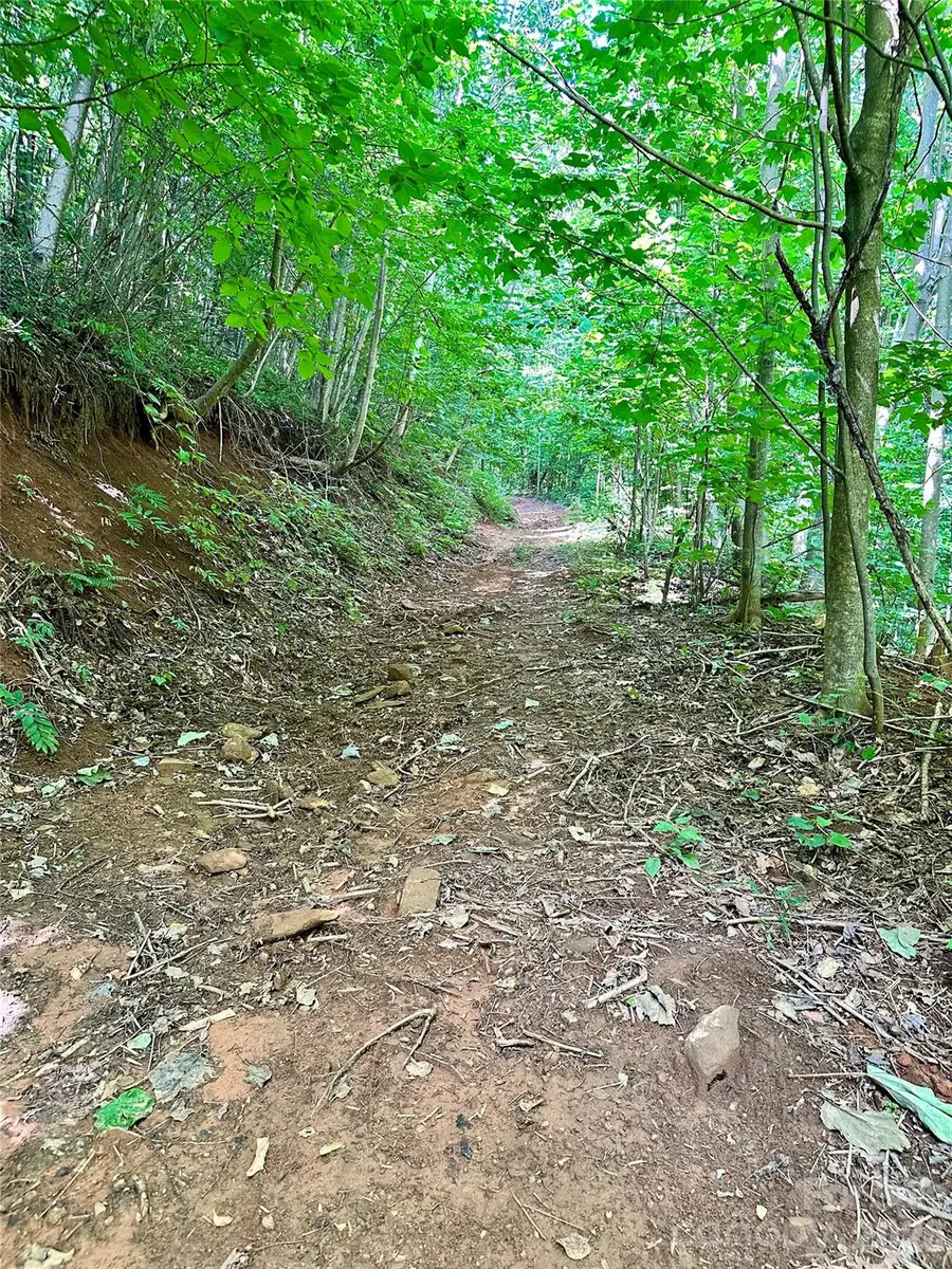 75 Fork Creek Road, Saluda, NC 28773 - #2