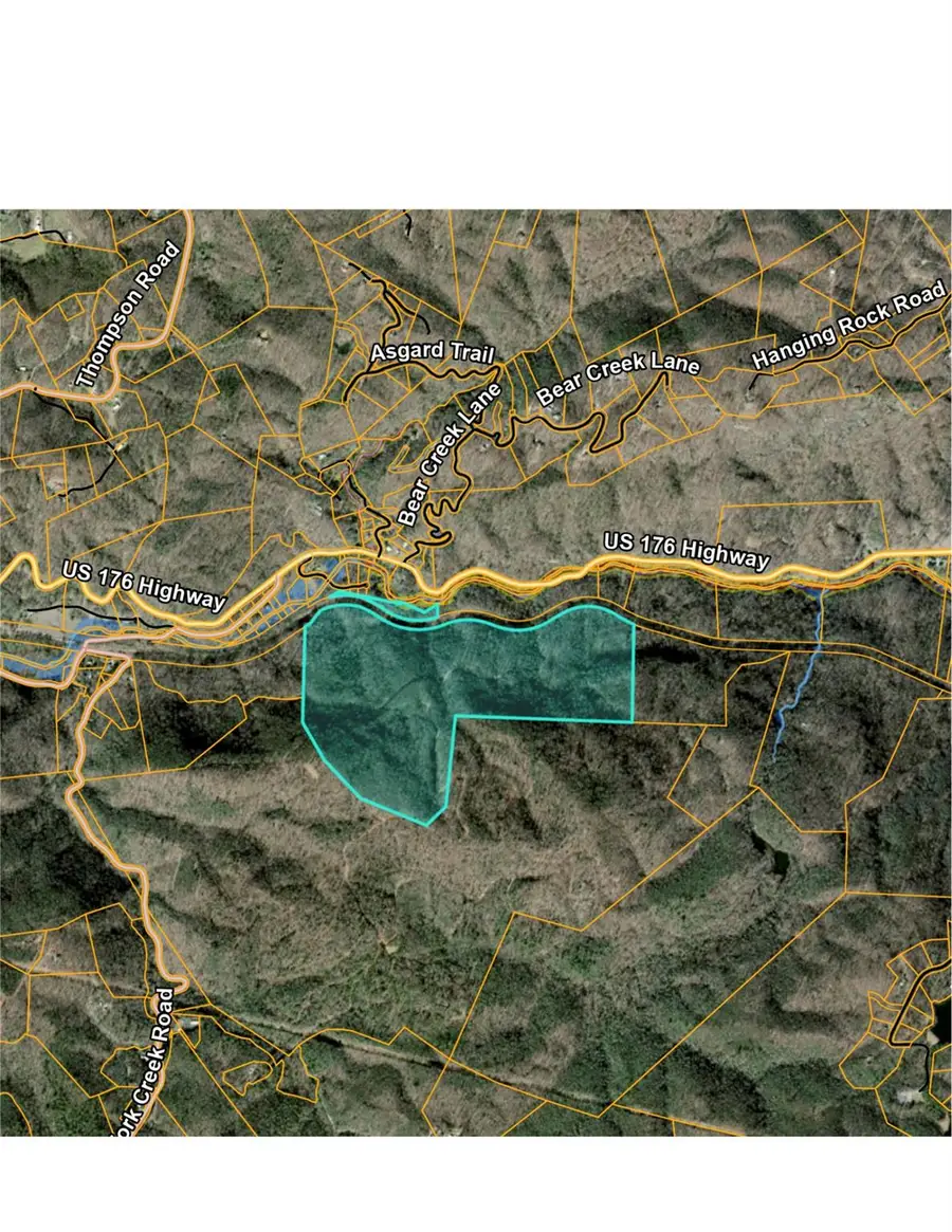75 Fork Creek Road, Saluda, NC 28773 - #3