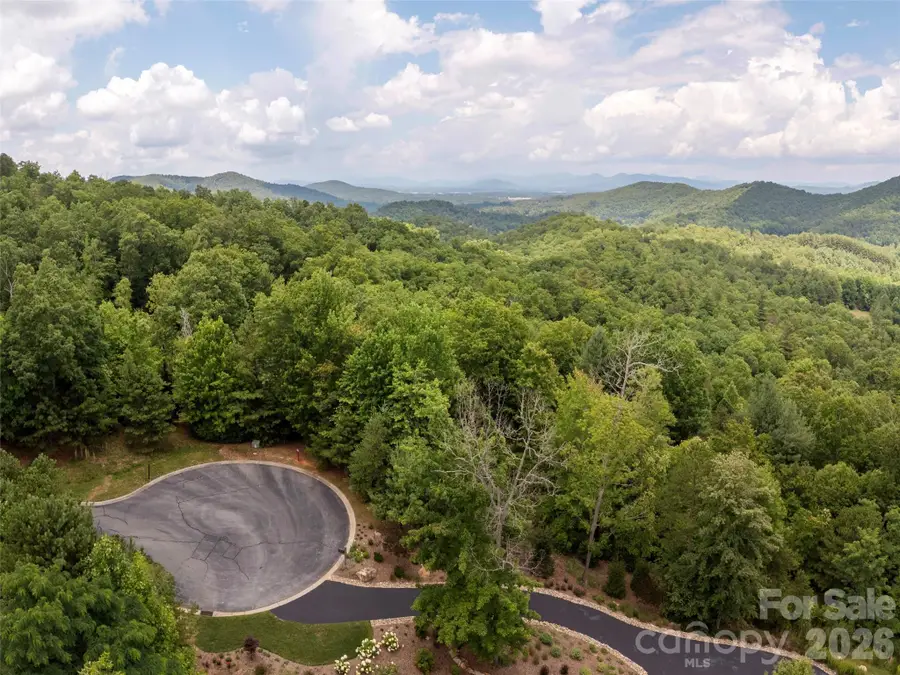 71 Yellow Wood Lane, Horse Shoe, NC 28742 - #2