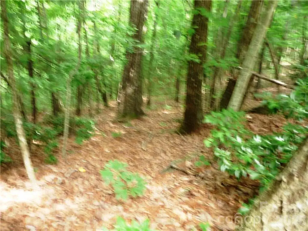360 Kenmure Drive #4, Flat Rock, NC 28731 - #1