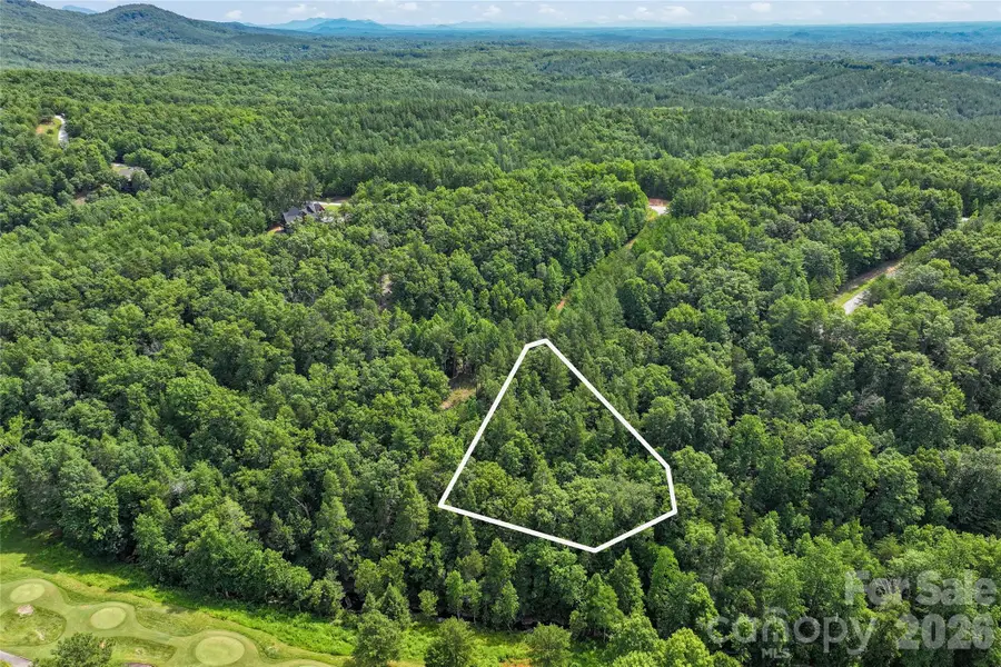 Lot 24 Monteith Place, Mill Spring, NC 28756 - #3