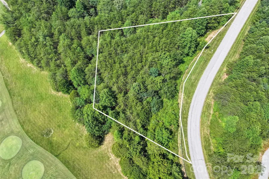 1361 E Deep Gap Farm Road, Mill Spring, NC 28756 - #2
