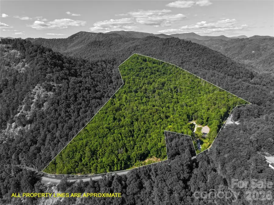 4017 Canada Road, Tuckasegee, NC 28783 - #2