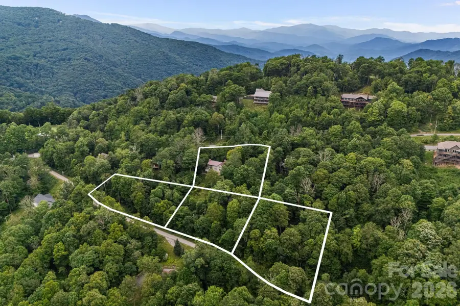 692 Mckinney Gap Drive, Mars Hill, NC 28754 - #2