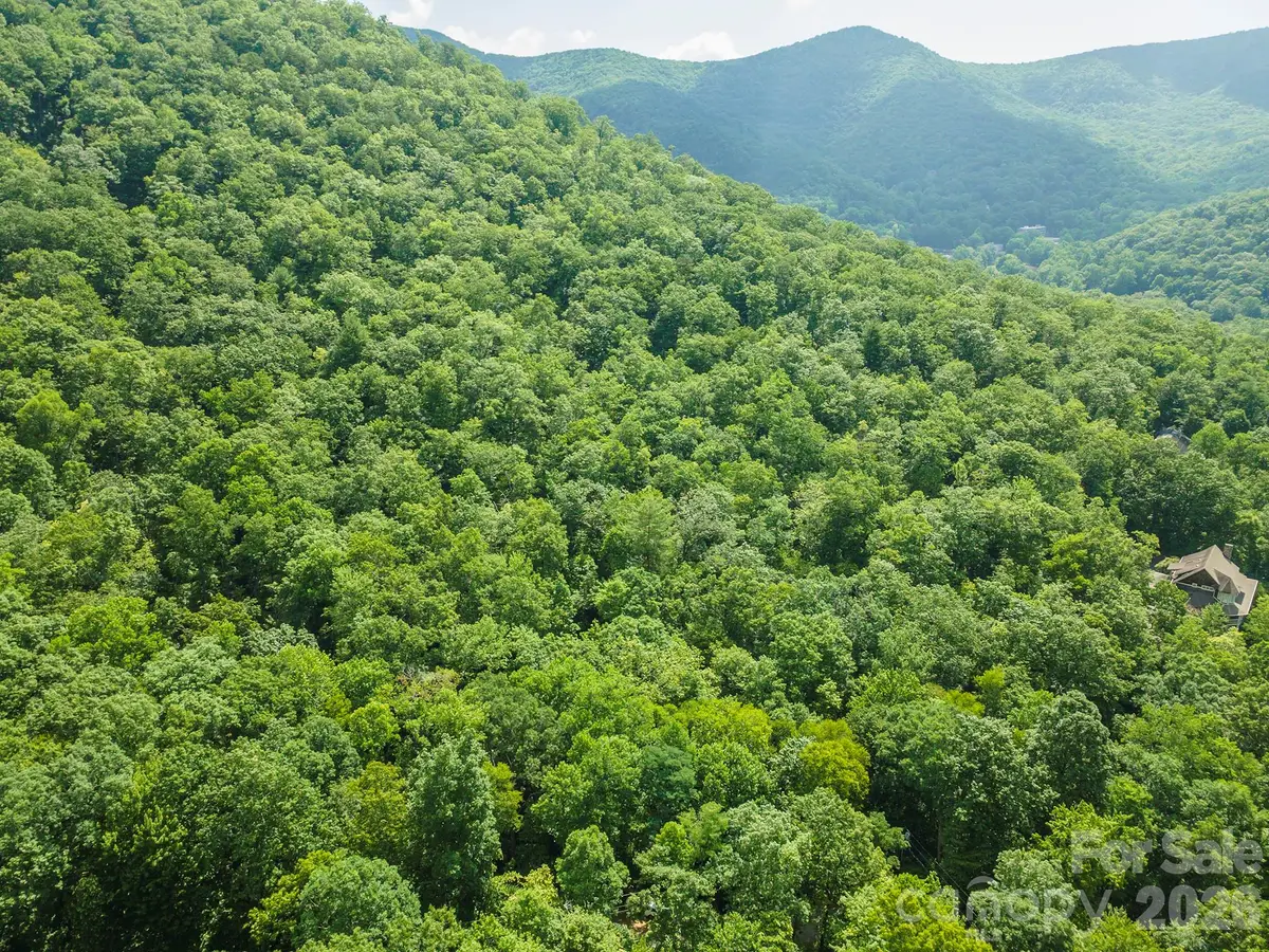 212 Harmony Lane, Montreat, NC 28757 - #1