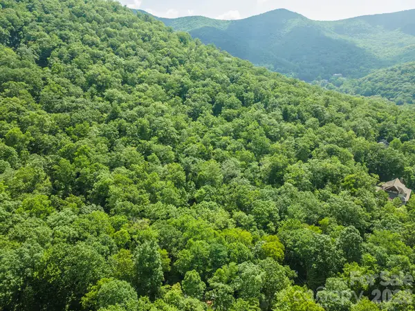 212 Harmony Lane, Montreat, NC 28757