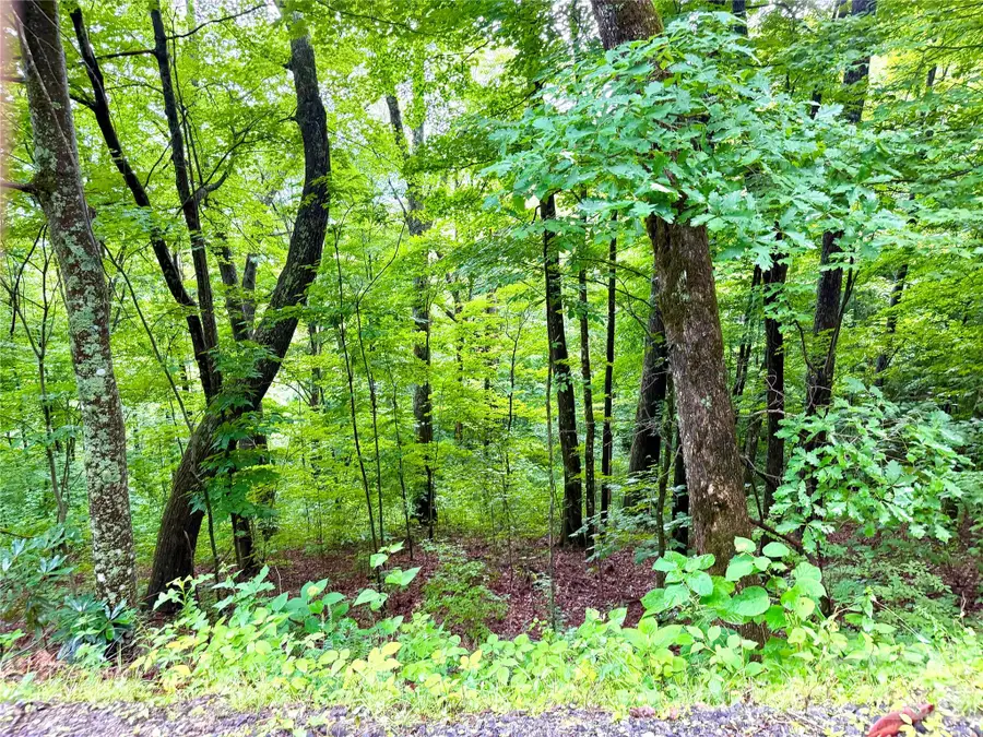 505 Mountainside Drive #27, 28, 29, 30, 31, 32, Waynesville, NC 28786 - #3