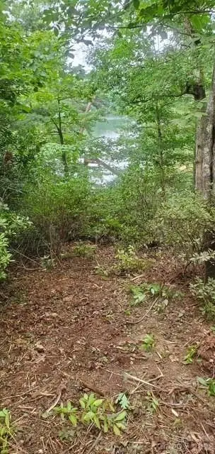 TBD Main Channel Point #37, Granite Falls, NC 28630 - #3