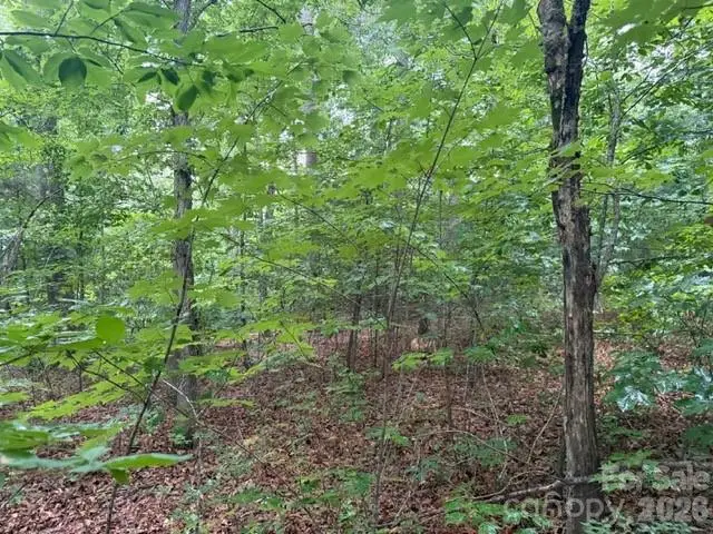 00 Bill Collins Road, Columbus, NC 28722 - #3