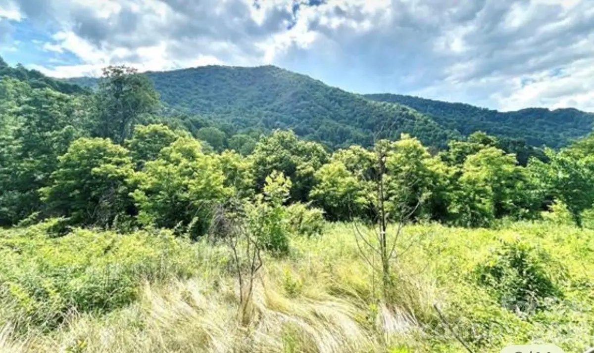 00 Split Pine Cove, Clyde, NC 28721 - #1