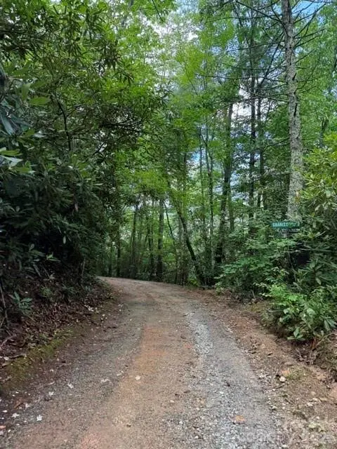 0000 Charles Trail, Hendersonville, NC 28792 - #2