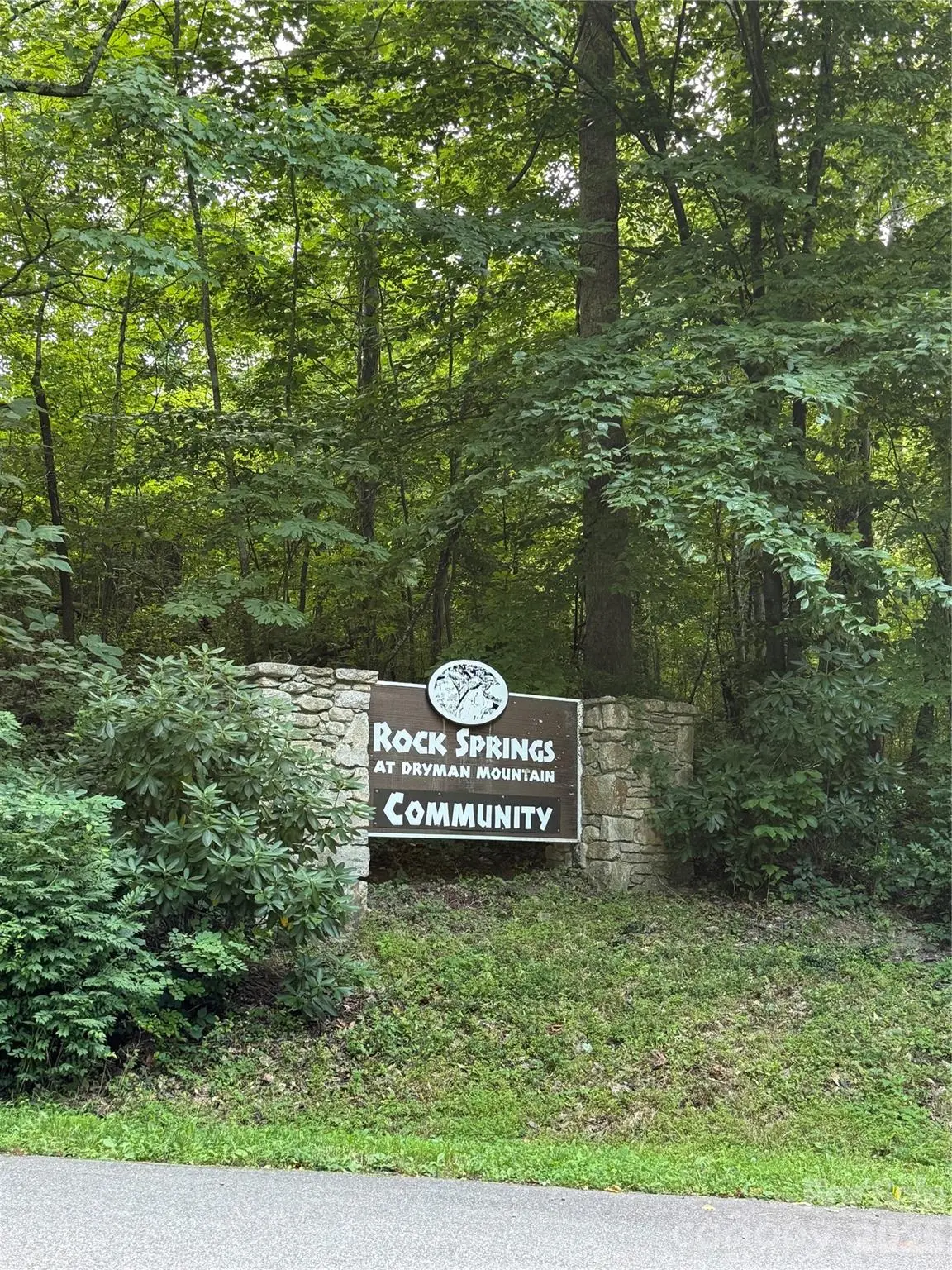 65 Forest Spring Drive, Asheville, NC 28804 - #1