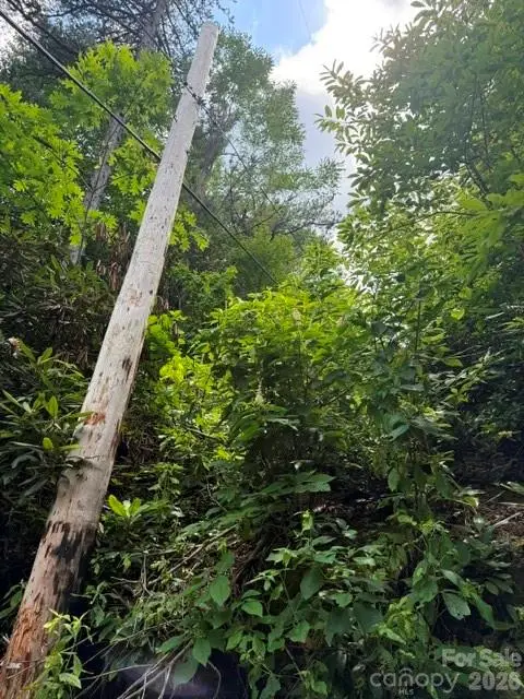 99999 Nc 9 Highway, Black Mountain, NC 28711 - #3