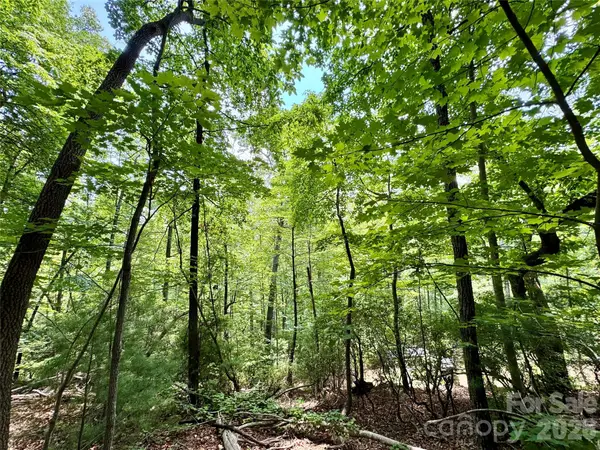 Lot 23 Bear Track Lane #23, Lenoir, NC 28645