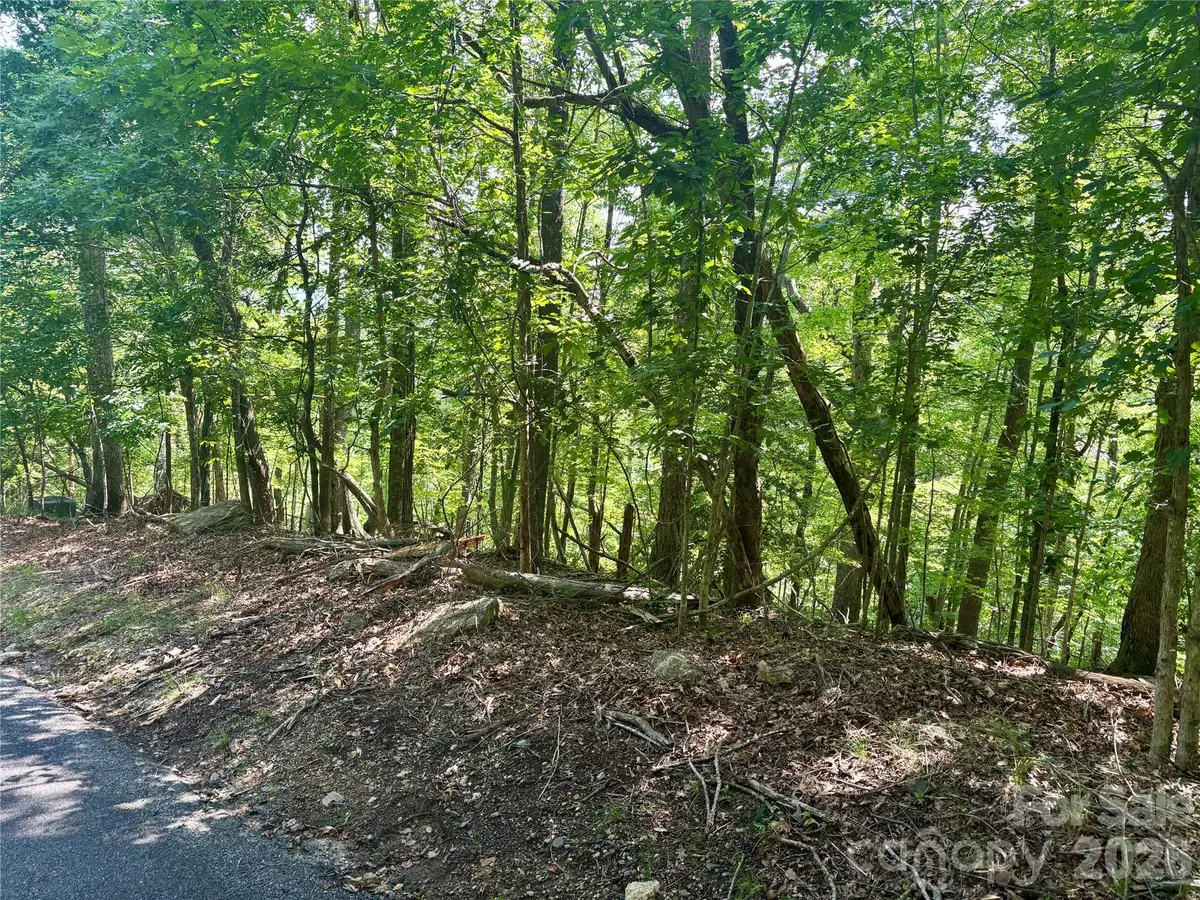 Lot 13 Crab Apple Court, Lake Lure, NC 28746 - #1