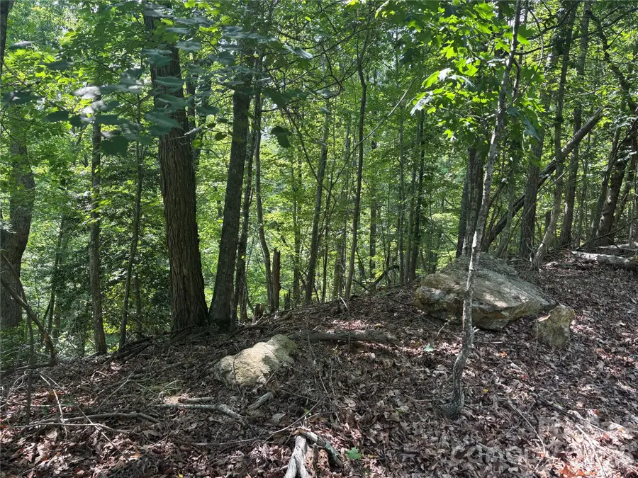 Lot 13 Crab Apple Court, Lake Lure, NC 28746 - #3