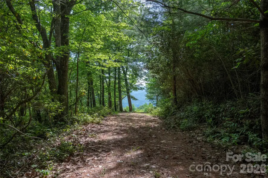 Lot 114R Toxaway Drive, Lake Toxaway, NC 28747 - #2