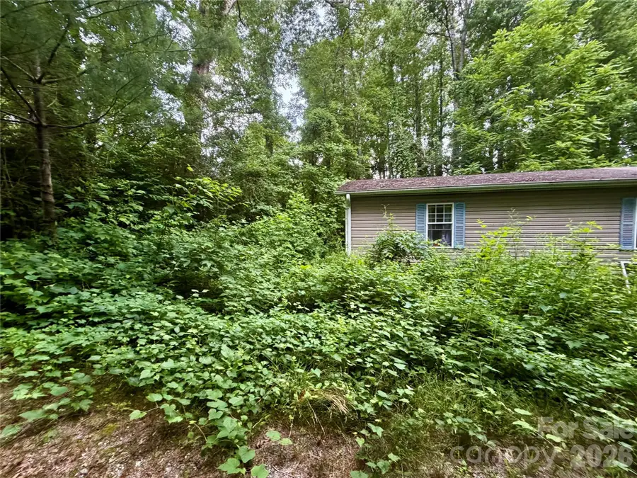 549 Caribou Road, Asheville, NC 28803 - #3