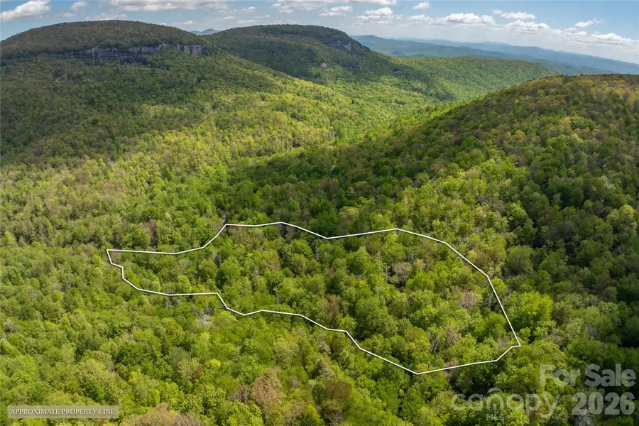 River Camp Long Ridge Road, Lake Toxaway, NC 28747 - #2