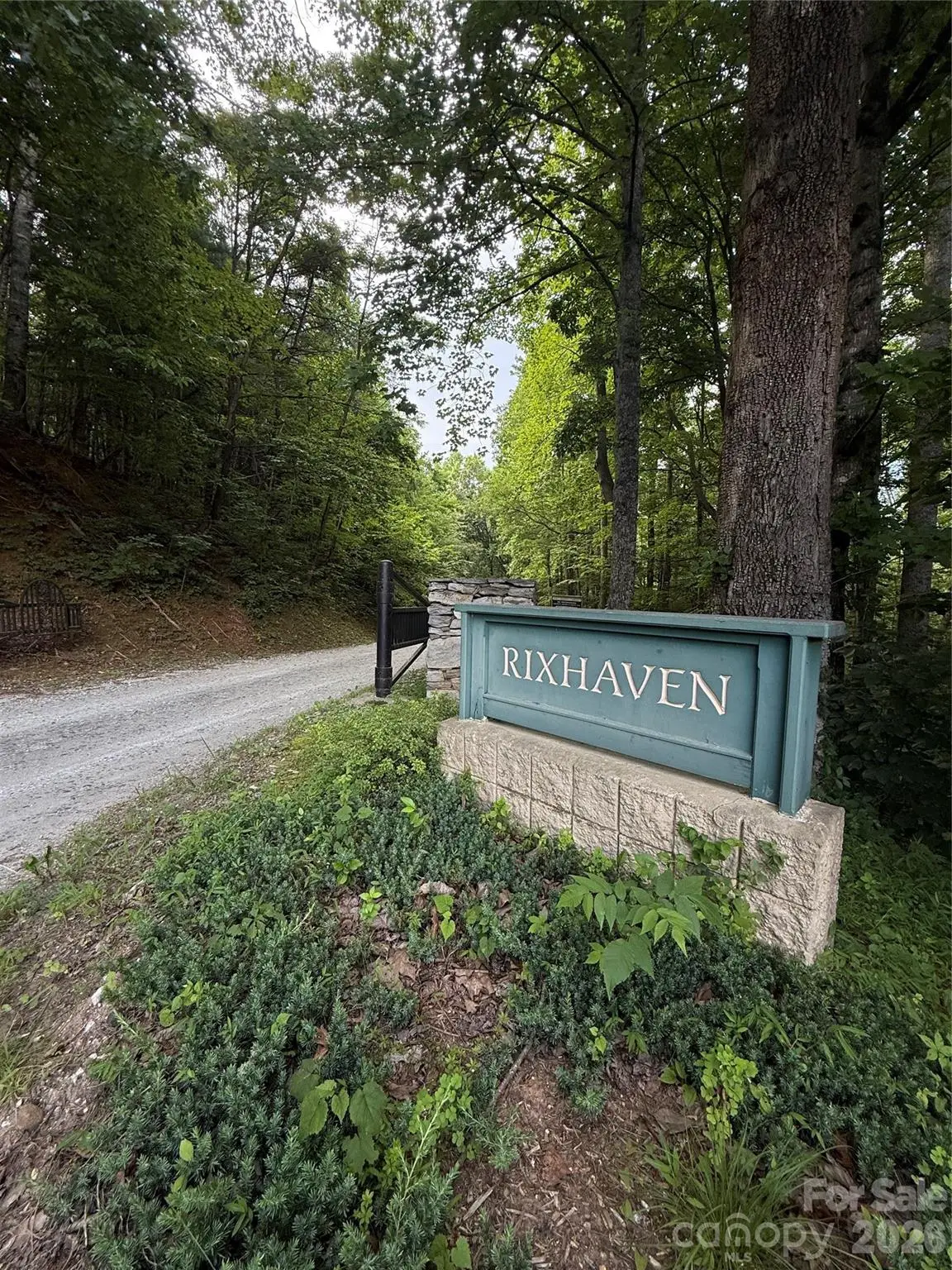 1 Rixhaven Drive, Saluda, NC 28773 - #1