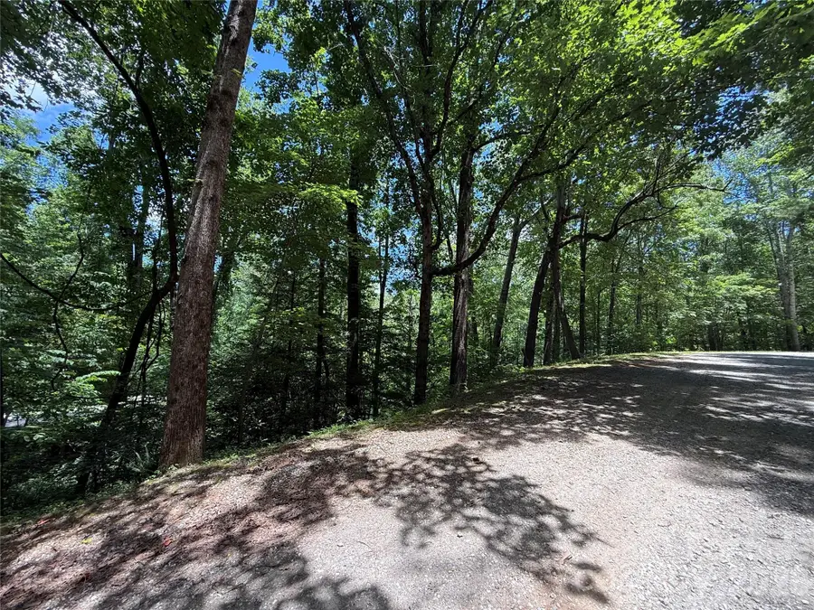 1 Rixhaven Drive, Saluda, NC 28773 - #2