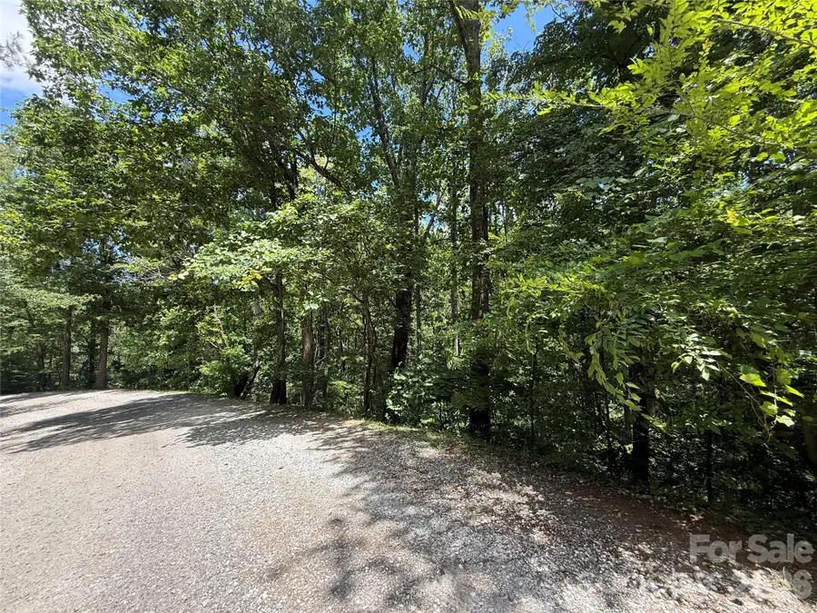 1 Rixhaven Drive, Saluda, NC 28773 - #3