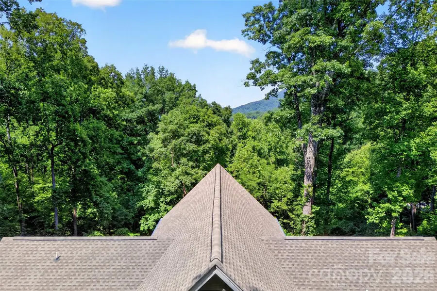 771 Sally Gap Road, Old Fort, NC 28762 - #3