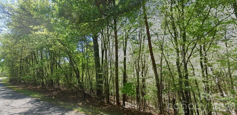 0 Ridge Lane #all of 6 portion of 7, Wilkesboro, NC 28697 - #2