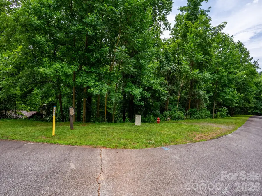 236 Nottingham Drive, Mill Spring, NC 28756 - #3