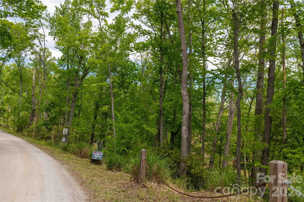 00 Deer Park Lake Road, Spruce Pine, NC 28777 - #1