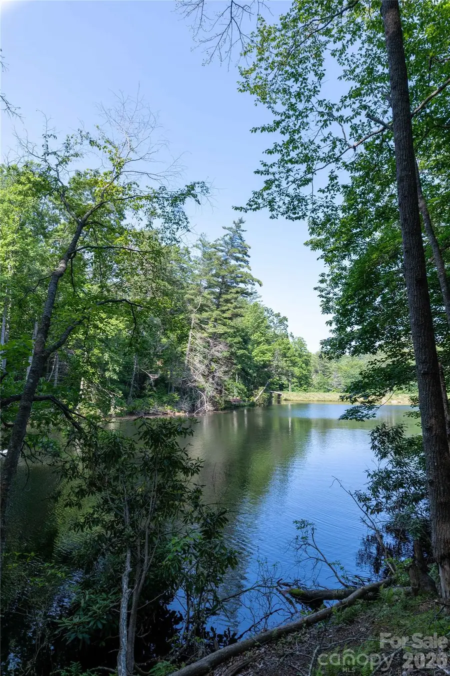 00 Deer Park Lake Road, Spruce Pine, NC 28777 - #2