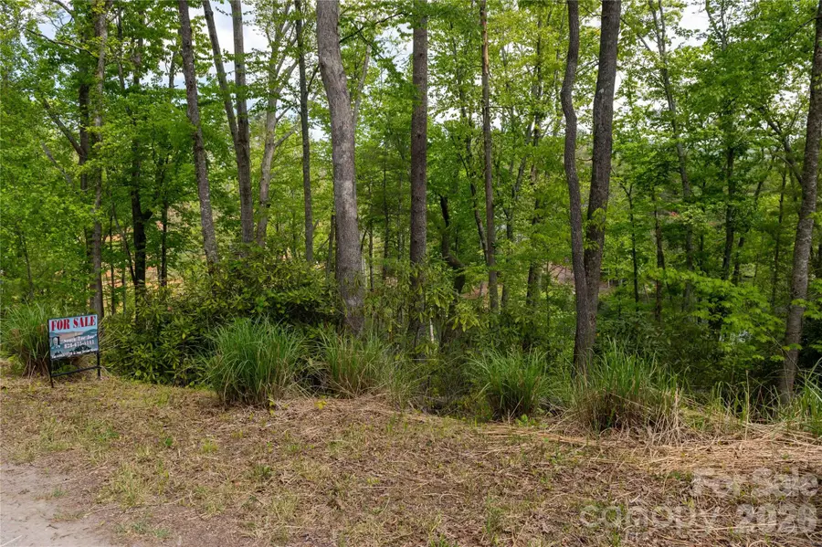 00 Deer Park Lake Road, Spruce Pine, NC 28777 - #3