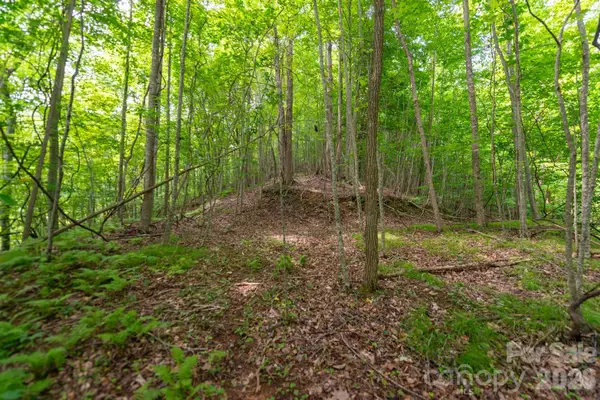 ### Board Tree Road #2, Marshall, NC 28753