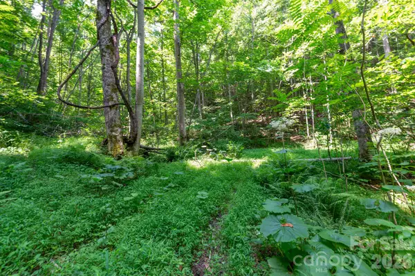 ### Board Tree Road #3, Marshall, NC 28753