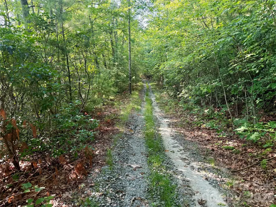 OFF Old Toxaway Road, Brevard, NC 28712 - #3