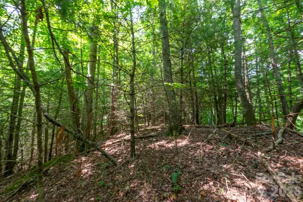 ### Board Tree Road #6, Marshall, NC 28753