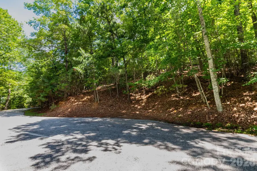 50 Cedar Drive, Mills River, NC 28759 - #2