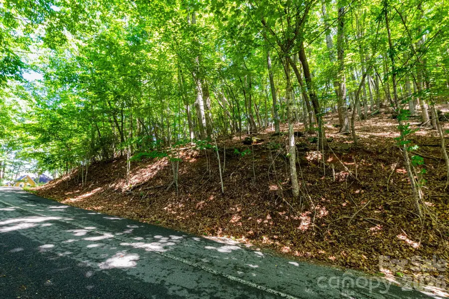 50 Cedar Drive, Mills River, NC 28759 - #3