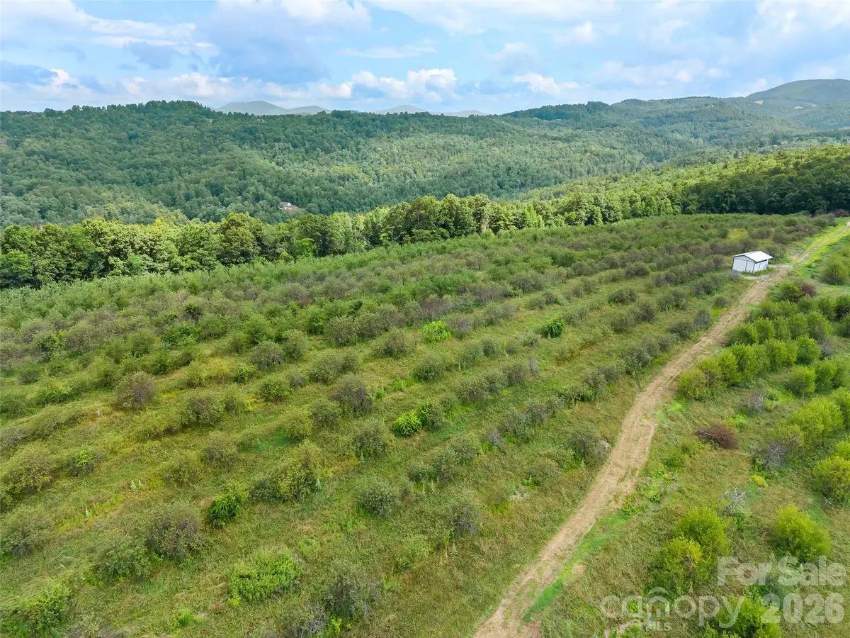 0 Summer Road #6, Hendersonville, NC 28792 - #1