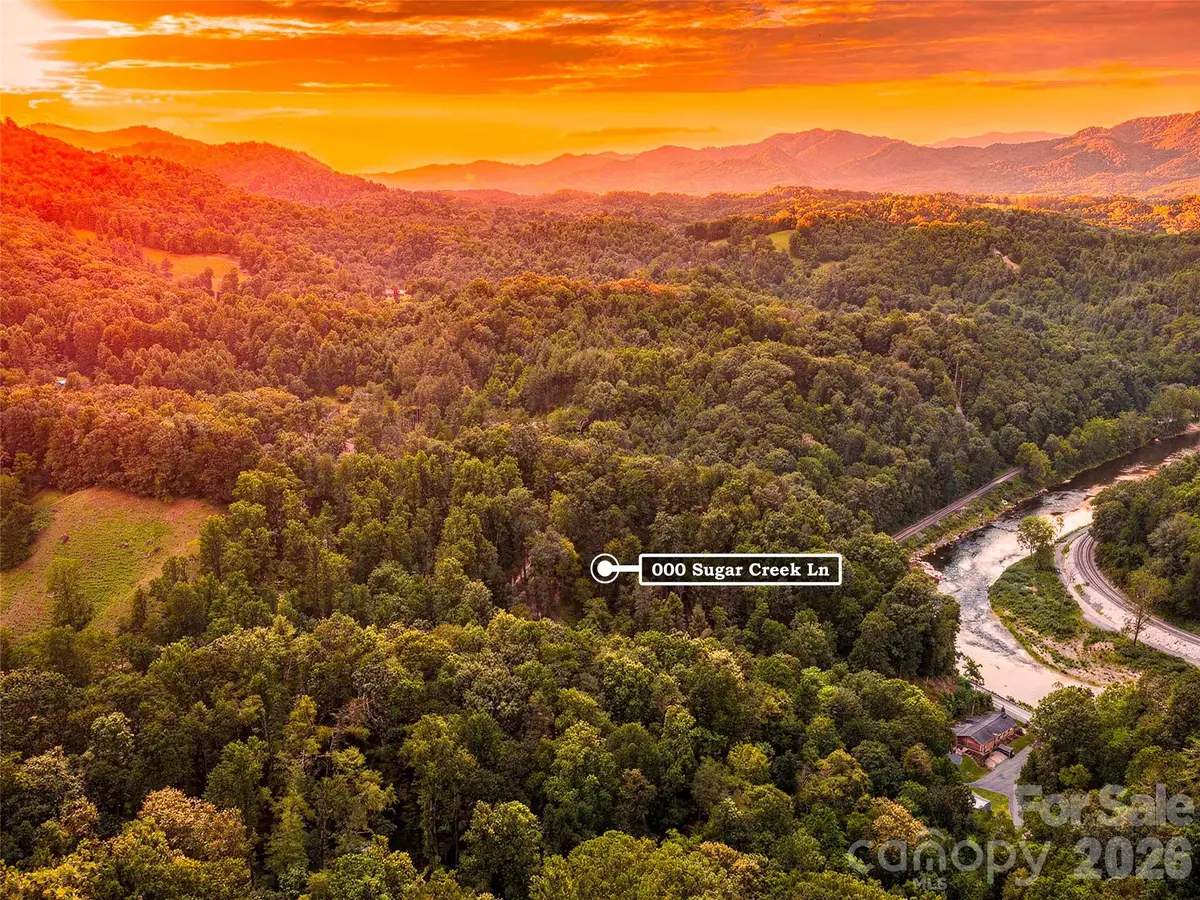 000 Sugar Creek Lane, Green Mountain, NC 28740 - #1