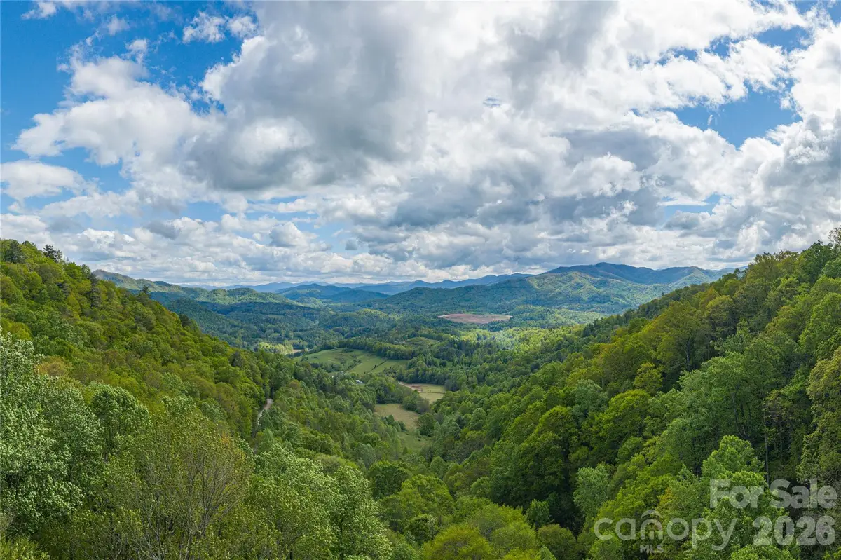 9999 Off Hurricane Ridge Trace, Clyde, NC 28721 - #1