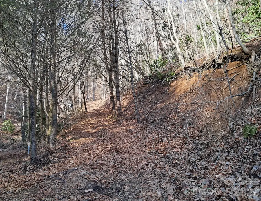9999 Off Hurricane Ridge Trace, Clyde, NC 28721 - #3