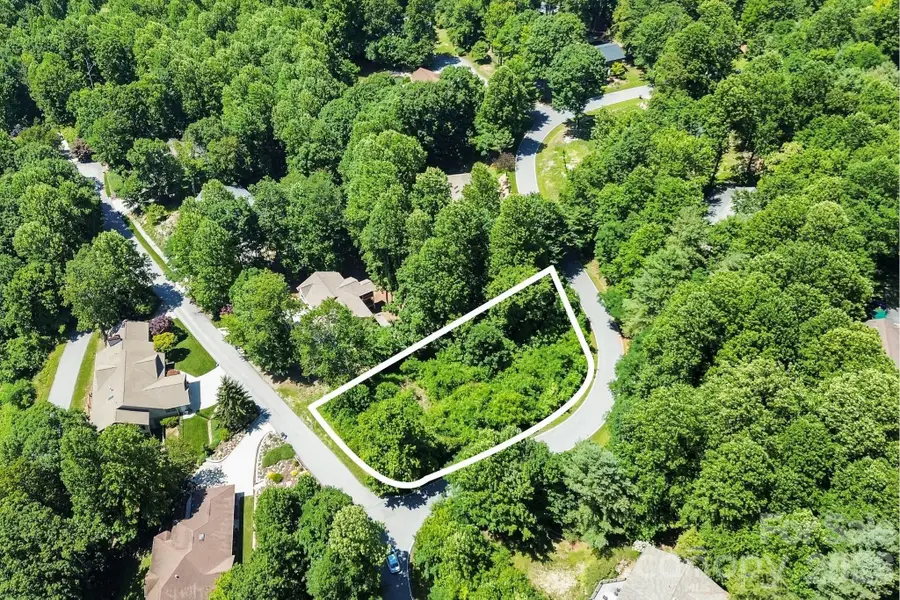 98 Indian Woods Trail, Hendersonville, NC 28739 - #2