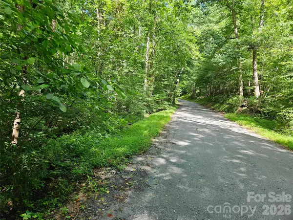 0 Sandpiper Avenue #163, Lake Lure, NC 28746