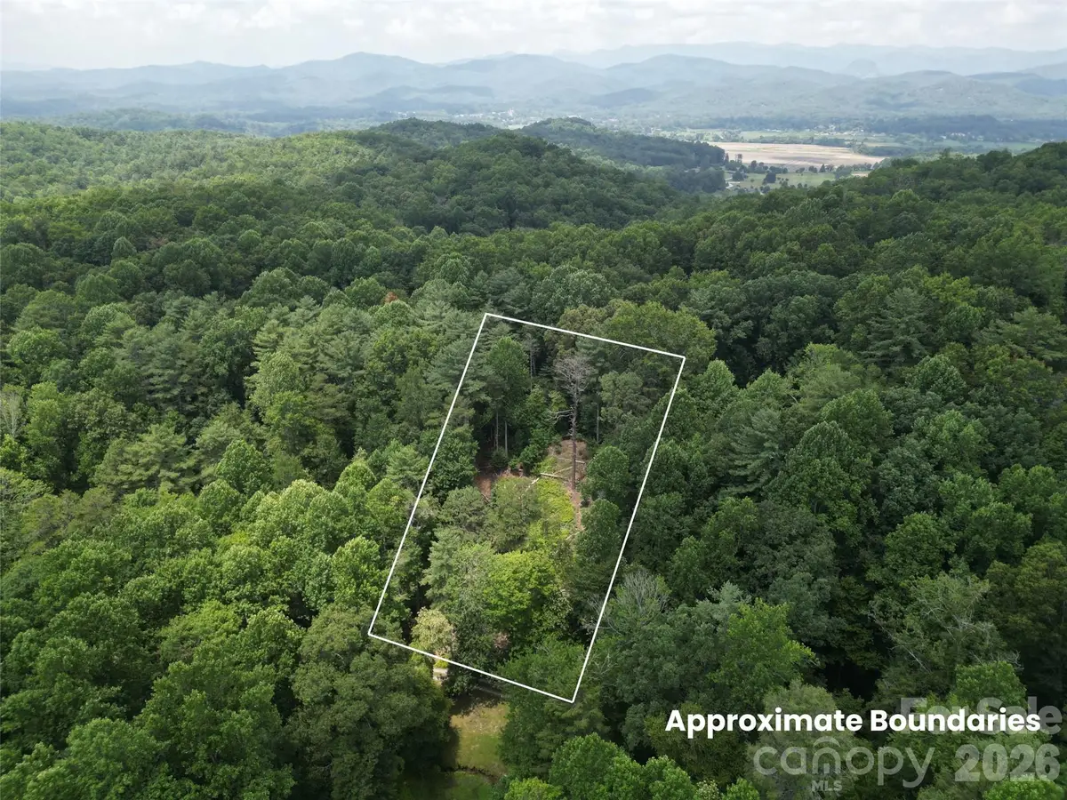 319 Valley Lane, Pisgah Forest, NC 28768 - #1