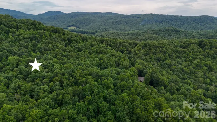 364 Big Bear Trail #24, Zirconia, NC 28790 - #2