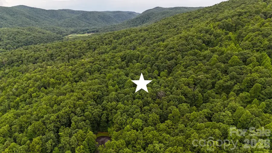364 Big Bear Trail #24, Zirconia, NC 28790 - #3